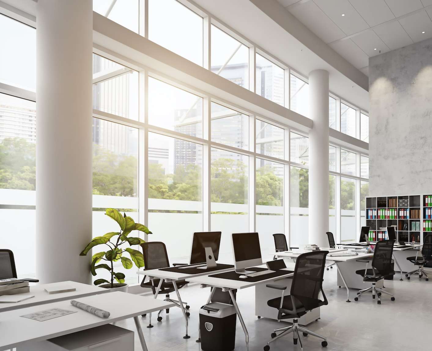 Window cleaning services